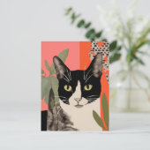 黒と白の猫 ポストカード (スタンド正面)