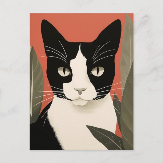 黒と白の猫 ポストカード (正面)
