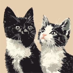 黒と白の猫 iPhone / iPad カバー