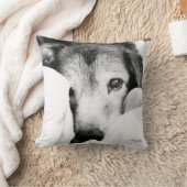 黒と白の眠そうな犬の仔羊飼いの枕 クッション (ブランケット)