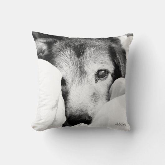 黒と白の眠そうな犬の仔羊飼いの枕 クッション (正面)