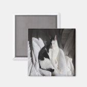黒と白の眠る猫/ペットの写真を載せよう マグネット (正面/裏面)