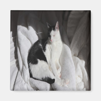 黒と白の眠る猫/ペットの写真を載せよう マグネット