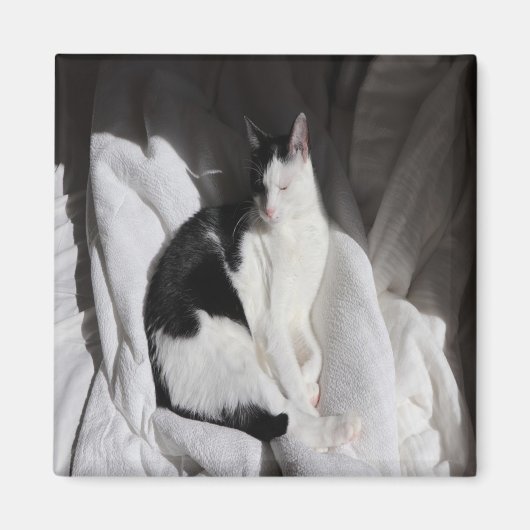 黒と白の眠る猫/ペットの写真を載せよう マグネット (正面)