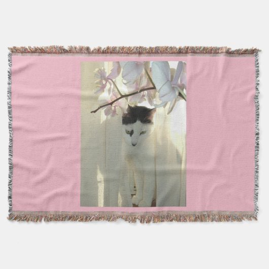 黒と白の短毛の子猫 スローブランケット (正面)