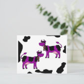 黒と白の背景を持つ紫色の牛 ポストカード (スタンド正面)