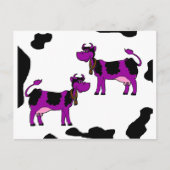 黒と白の背景を持つ紫色の牛 ポストカード (正面)