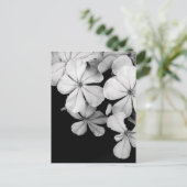 黒と白の花柄 ポストカード (スタンド正面)