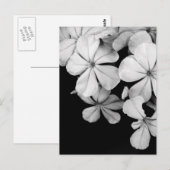 黒と白の花柄 ポストカード (正面/裏面)