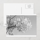 黒と白の花柄 ポストカード (正面/裏面)