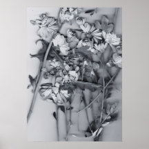 黒と白の花