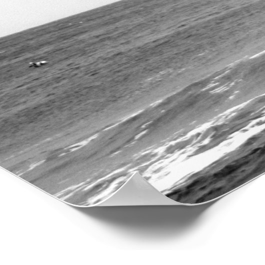 黒と白の茶色のペリ飛んでいるカンの海 ポスター (角)