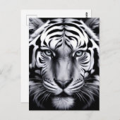 黒と白の虎(更新) ポストカード (正面/裏面)