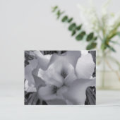 黒と白の虹彩はがき ポストカード (スタンド正面)