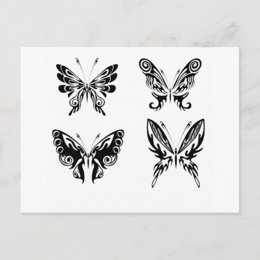 黒と白の蝶 ポストカード (正面)