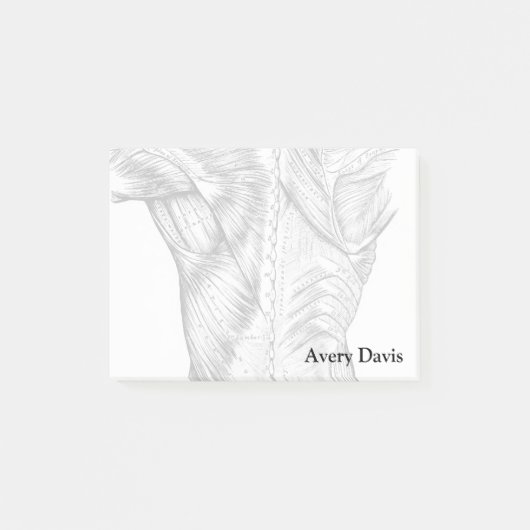 黒と白の解剖学アートの背筋(1890年) ポストイット (正面)