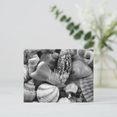 黒と白の貝殻　空白のポストカード ポストカード (スタンド正面)