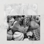 黒と白の貝殻　空白のポストカード ポストカード (正面/裏面)