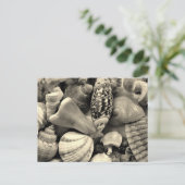 黒と白の貝殻　空白のポストカード ポストカード (スタンド正面)