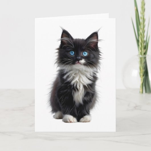 黒と白の長い毛の猫　青い目　無表情 カード (正面)