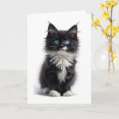 黒と白の長い毛の猫　青い目　表情なし カード (黄色い花)