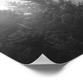 黒と白の霧のミラー森 ポスター (角)