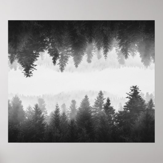 黒と白の霧のミラー森 ポスター (正面)