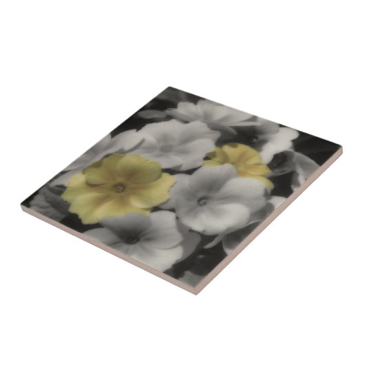 黒と白の黄色い紫の花 タイル (側面)