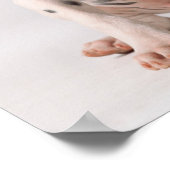 黒と白の2つの小さなダルマチアの子犬 ポスター (角)