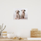 黒と白の2つの小さなダルマチアの子犬 ポスター (キッチン)