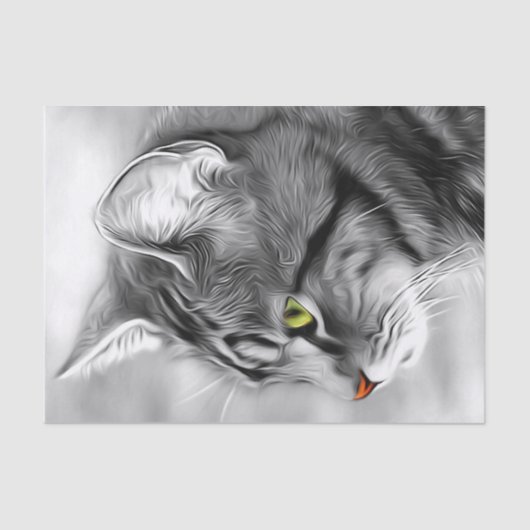 黒と素晴らし白の猫のデコップティッシュ 薄葉紙 (正面)