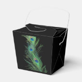 黒と緑の孔雀の羽 フェイバーボックス (正面サイド)