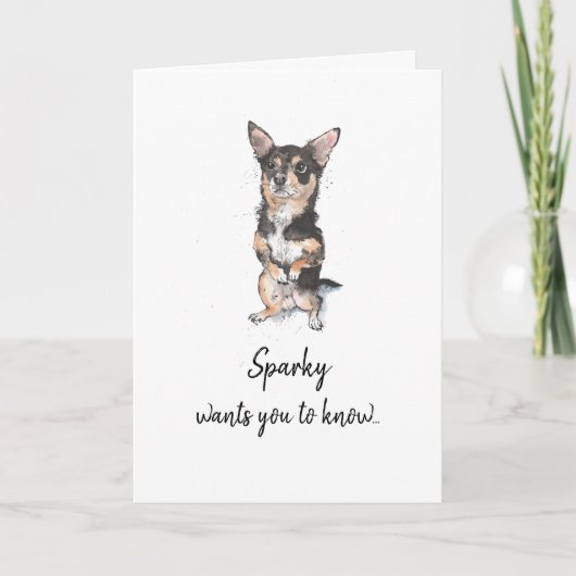 黒と茶色のチワワ パパの誕生日プレゼント カード (正面)