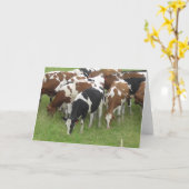 黒と茶色の乳牛撮影カード カード (黄色い花)