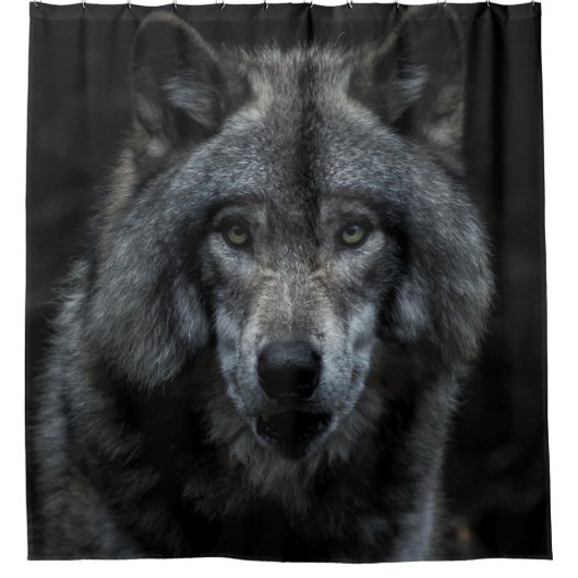 黒と茶色絵画のオオカミ シャワーカーテン (正面)