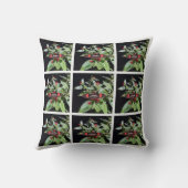 黒と赤のコスタリカ枕 クッション (裏面)