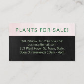 黒と赤面のピンクの自家栽培の多肉植物 名刺 (裏面)