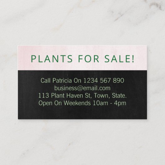 黒と赤面のピンクの自家栽培の多肉植物 名刺 (裏面)