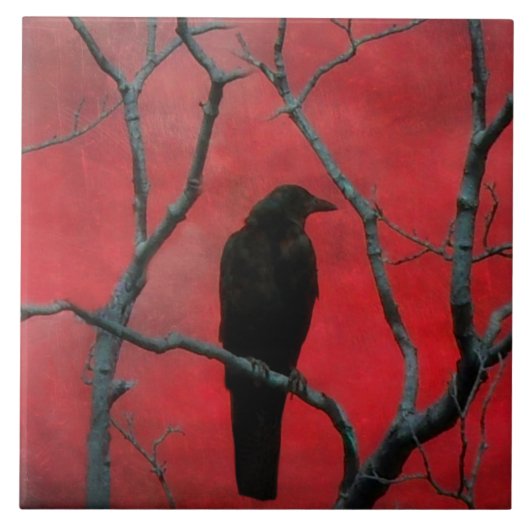 黒と赤 タイル (正面)