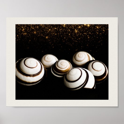 黒と金ゴールドシーシェル熱帯印刷用アート ポスター (正面)