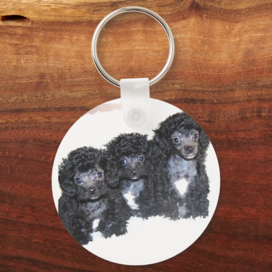 黒と銀のおもちゃプードルの子犬の3つ キーホルダー (正面)