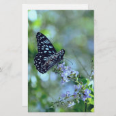 黒と青の蝶 便箋 (正面/裏面)