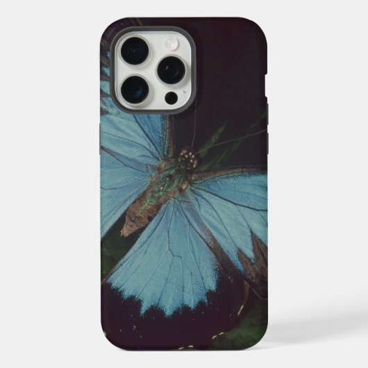 黒と青の蝶 iPhoneケース (裏面)