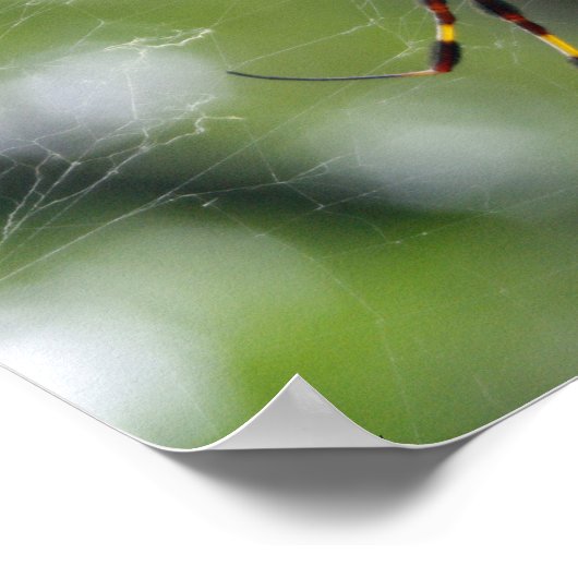 黒と黄色のガーデンスパイダー ポスター (角)