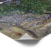 黒と黄色の斑点のあるサラマンダー ポスター (角)