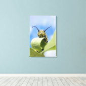 黒と黄色の毛虫 キャンバスプリント (インサイチュ (ウッドフロア))