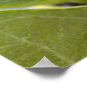 黒と黄色の毛虫 ポスター (角)