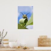 黒と黄色の毛虫 ポスター (キッチン)