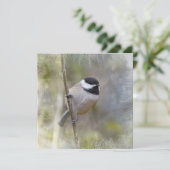 黒によっておおわれる《鳥》アメリカゴガラのヒマラヤスギの枝冬の鳥 シーズンカード (スタンド正面)