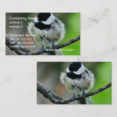 黒によっておおわれる《鳥》アメリカゴガラの鳥 名刺 (正面/裏面)